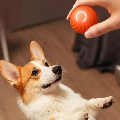 Automatic Interactive Dog Toy Ball