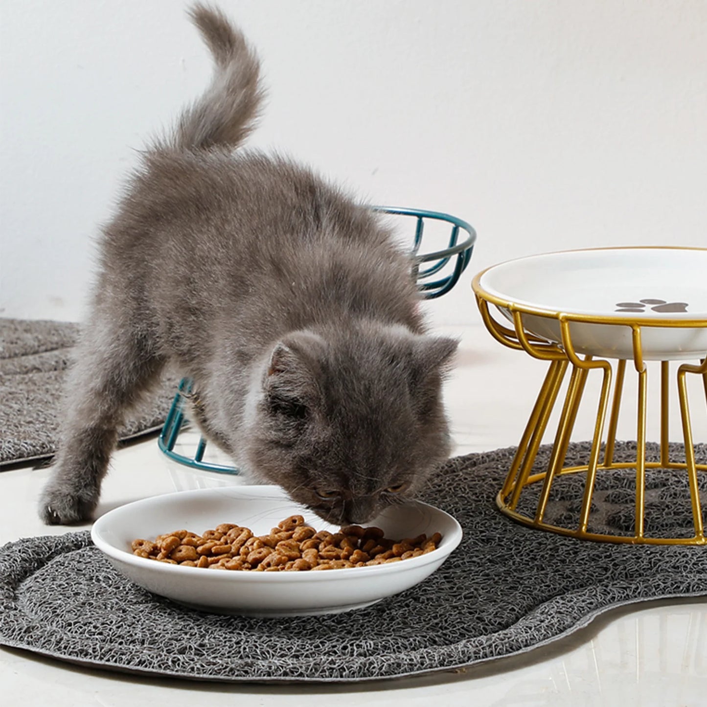 Elevated Ceramic Cat Food Bowl with Metal Stand