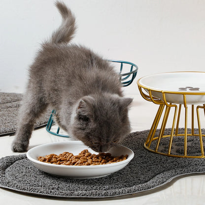 Elevated Ceramic Cat Food Bowl with Metal Stand