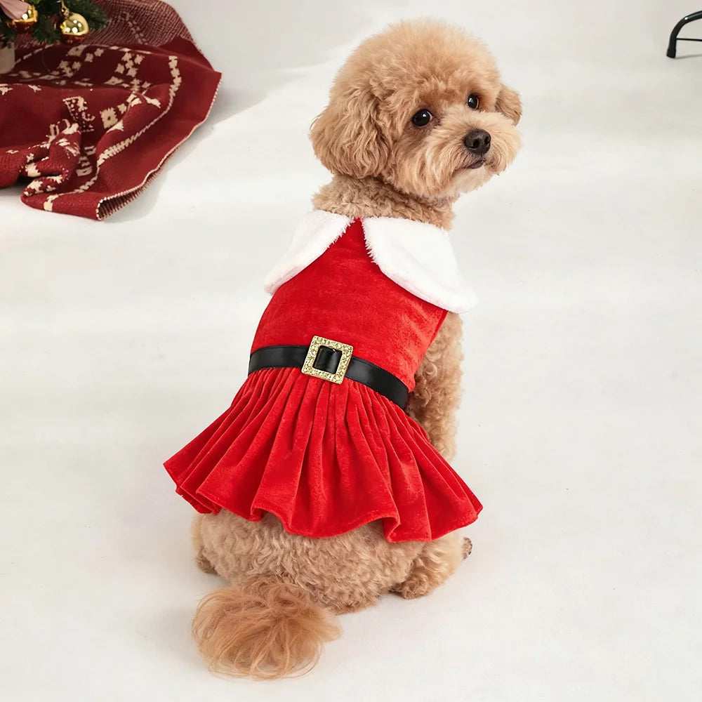 Christmas Dog Dress for Small Dogs & Cats