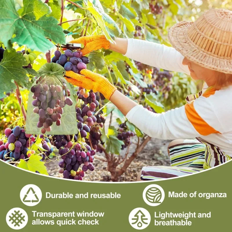 Fruit Protection Grow Bags