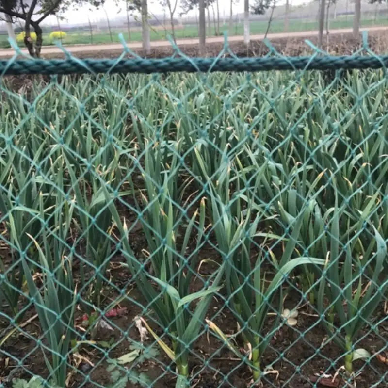 Heavy Duty Garden Protection Netting
