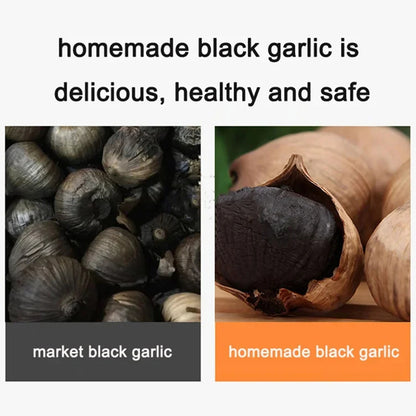 7.5L Electric Black Garlic Fermentation Machine