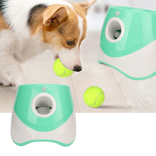 Automatic Dog Ball Launcher