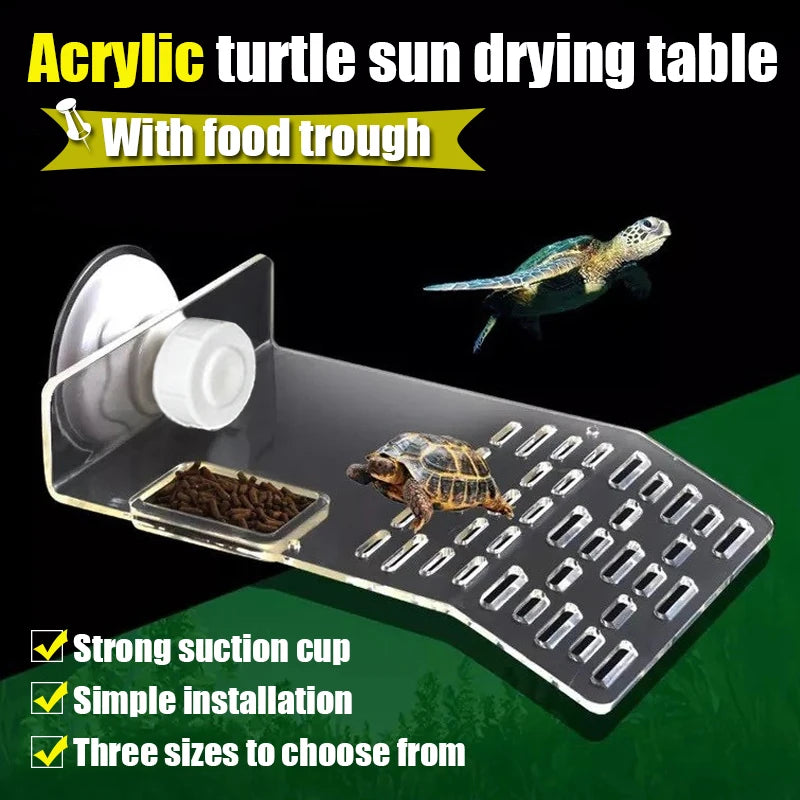 Transparent Floating Turtle Dock with Climbing Ramp