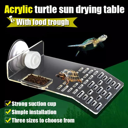 Transparent Floating Turtle Dock with Climbing Ramp