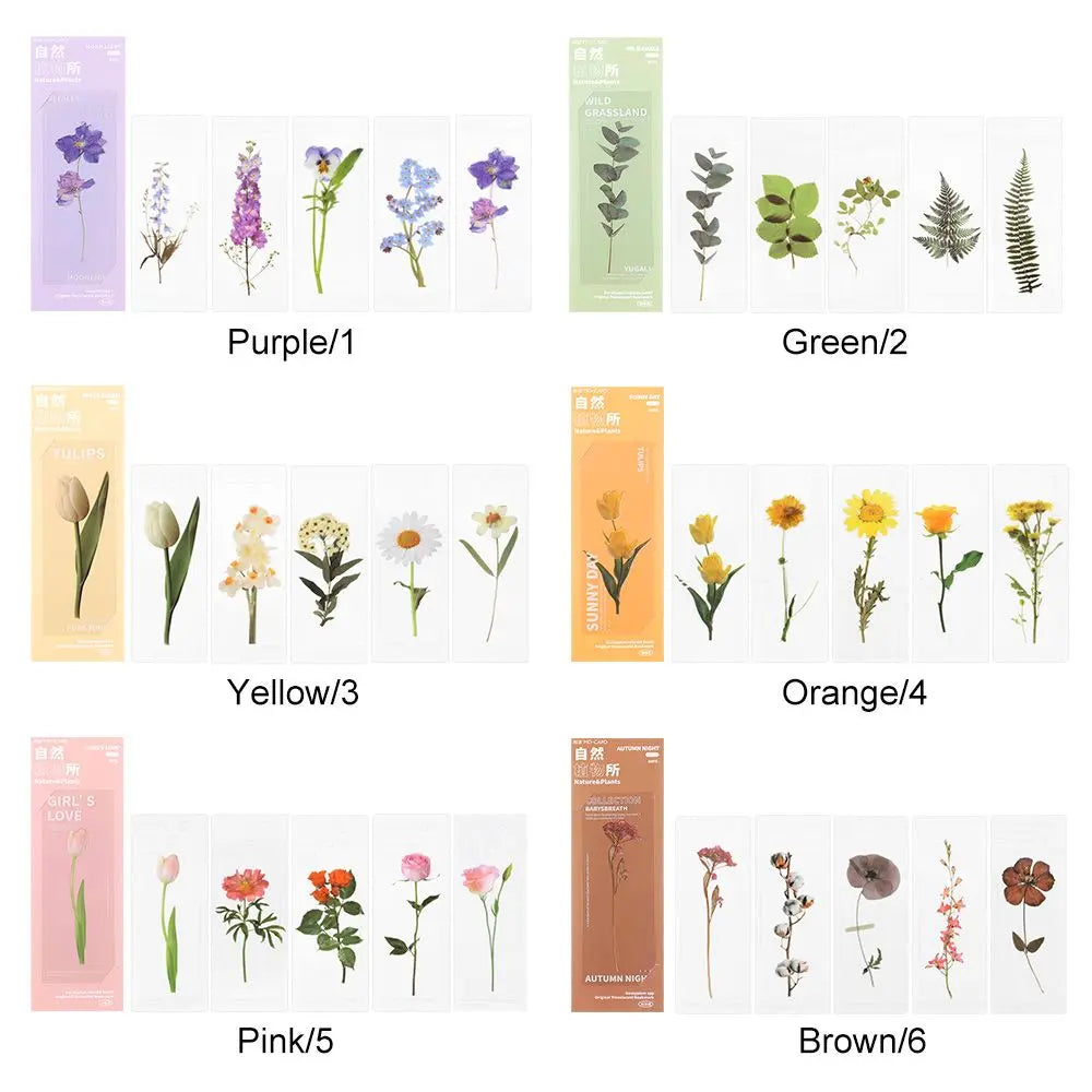 Translucent Flower Bookmark Set
