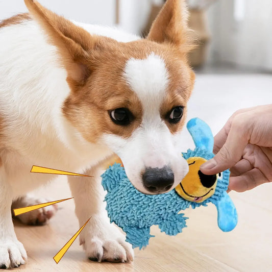 Squeaky Dog Toy