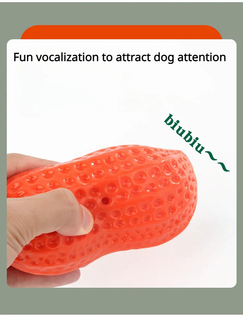 Peanut Squeaky Dog Chew Toy