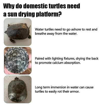 Transparent Floating Turtle Dock with Climbing Ramp