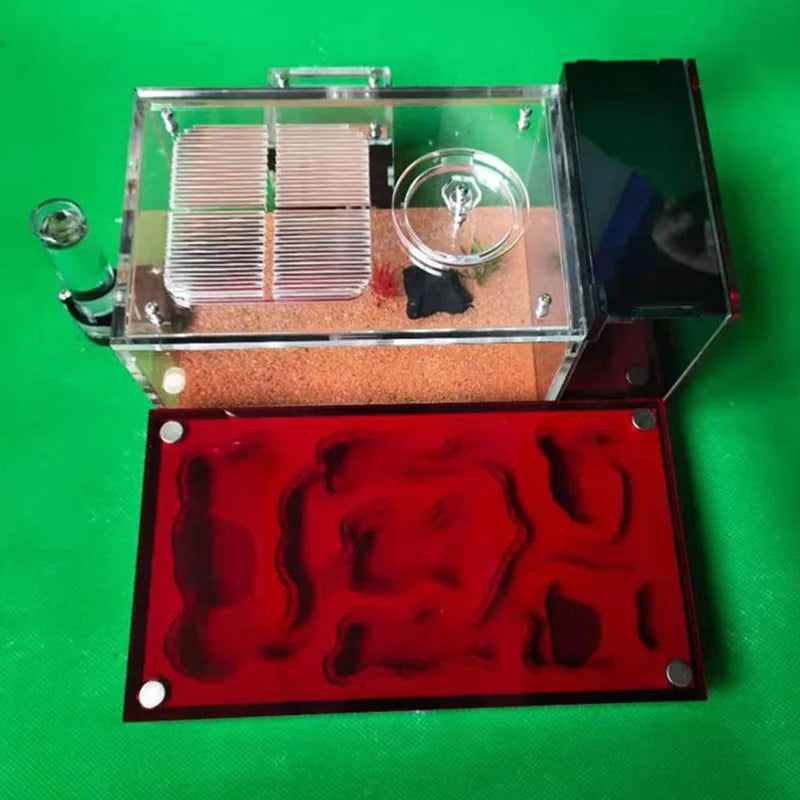 Large Acrylic Ant Farm with Gypsum Nest & Observation Arena