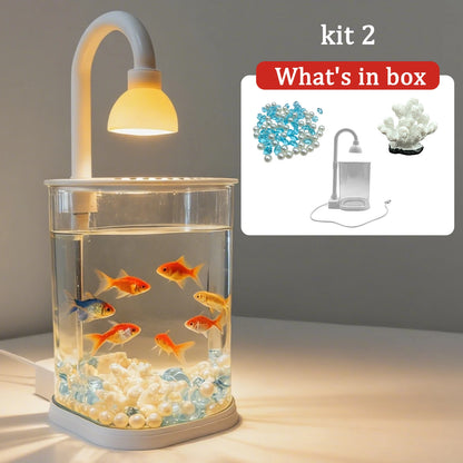 Mini Starter Fish Tank Kit with Light