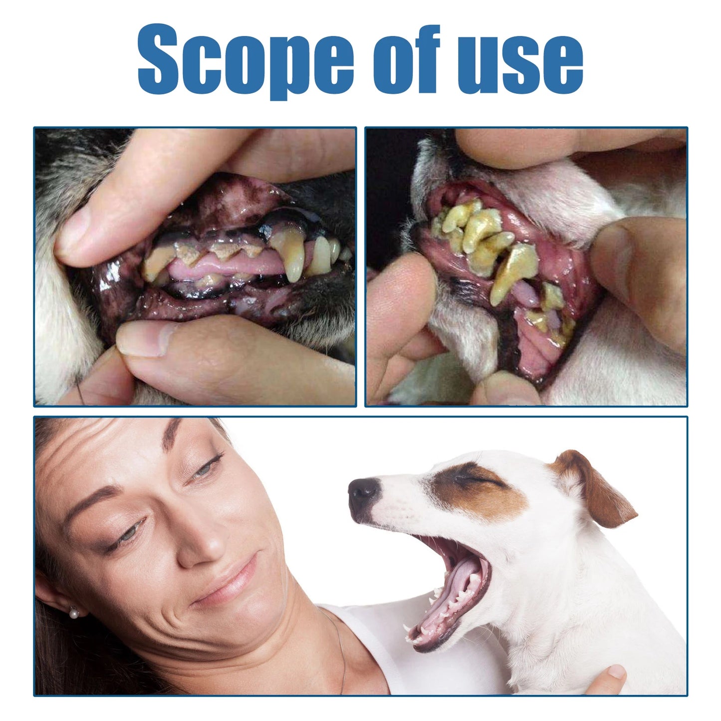 Pet Dental Tartar Remover Foam for Dogs & Cats