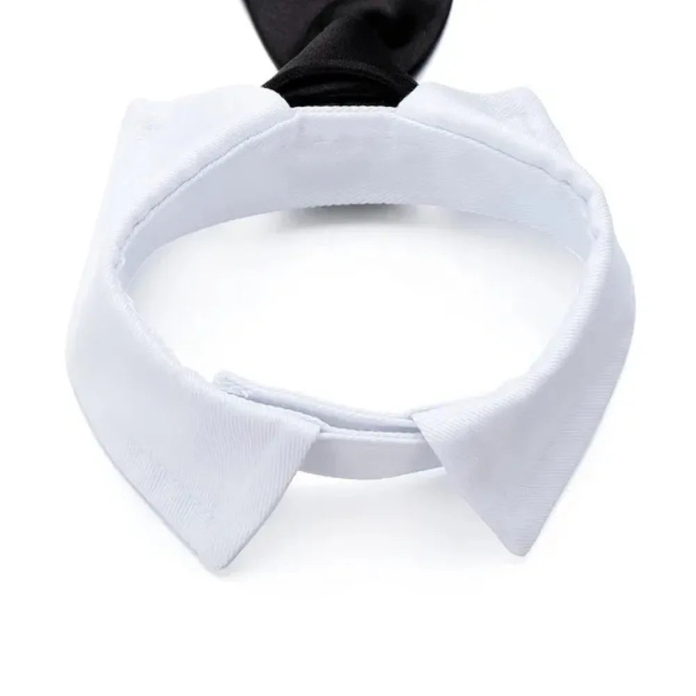 Adjustable Pet Necktie Collar
