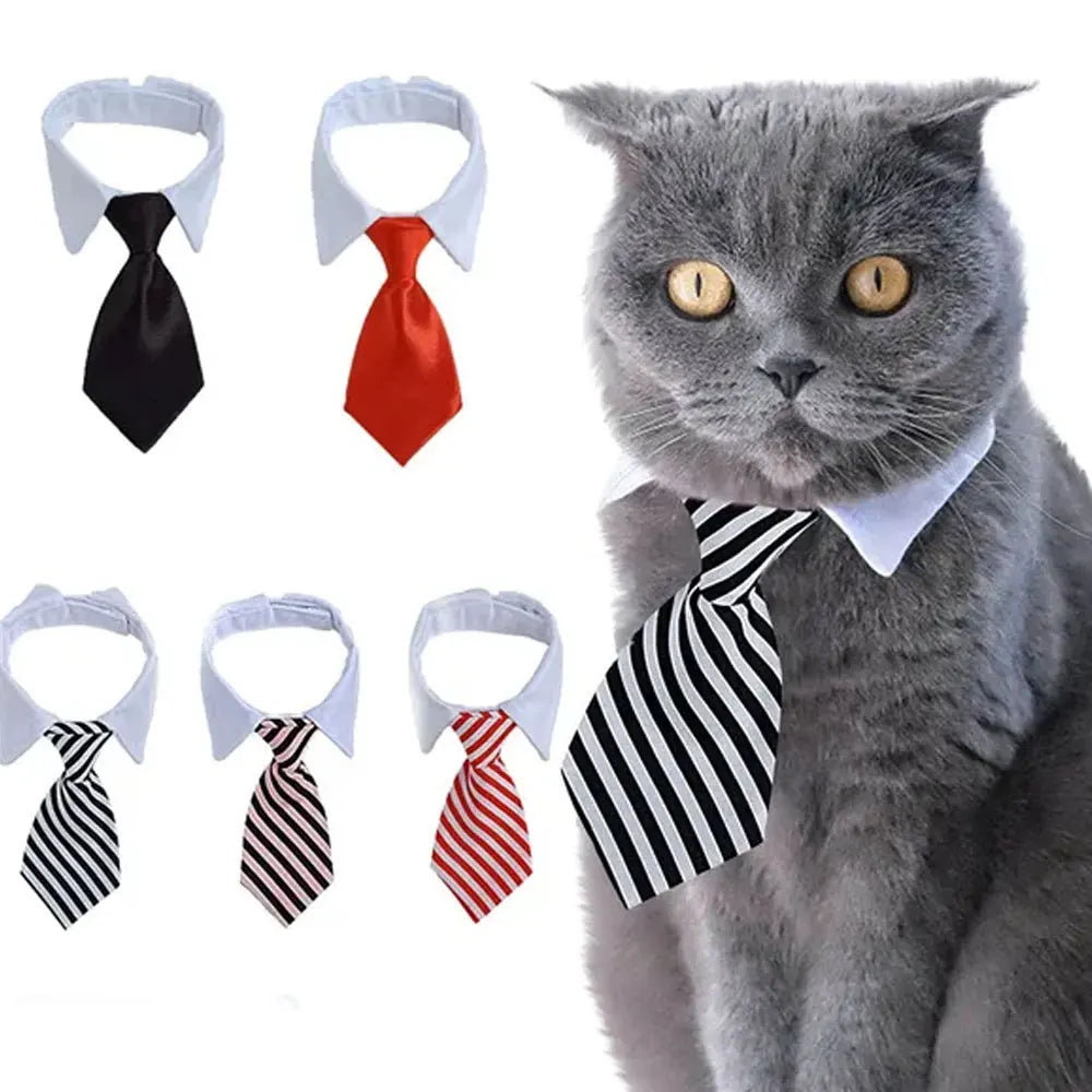 Adjustable Pet Necktie Collar