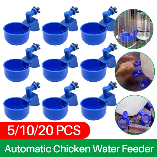 Automatic Chicken Water Cups Set