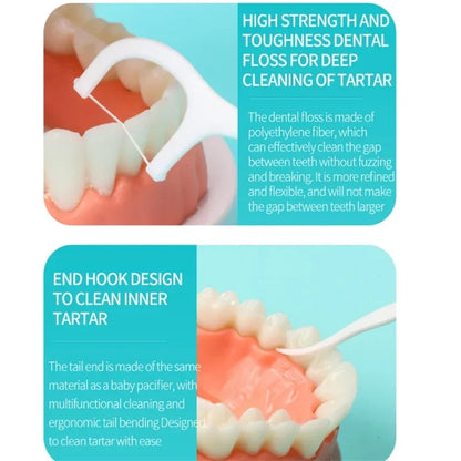 Portable Disposable Dental Floss Picks