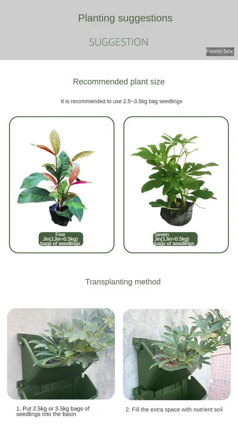 Vertical Wall Planter Growing System