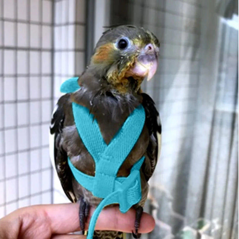 Parrot Training Harness & Anti-Bite Leash Set