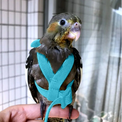 Parrot Training Harness & Anti-Bite Leash Set