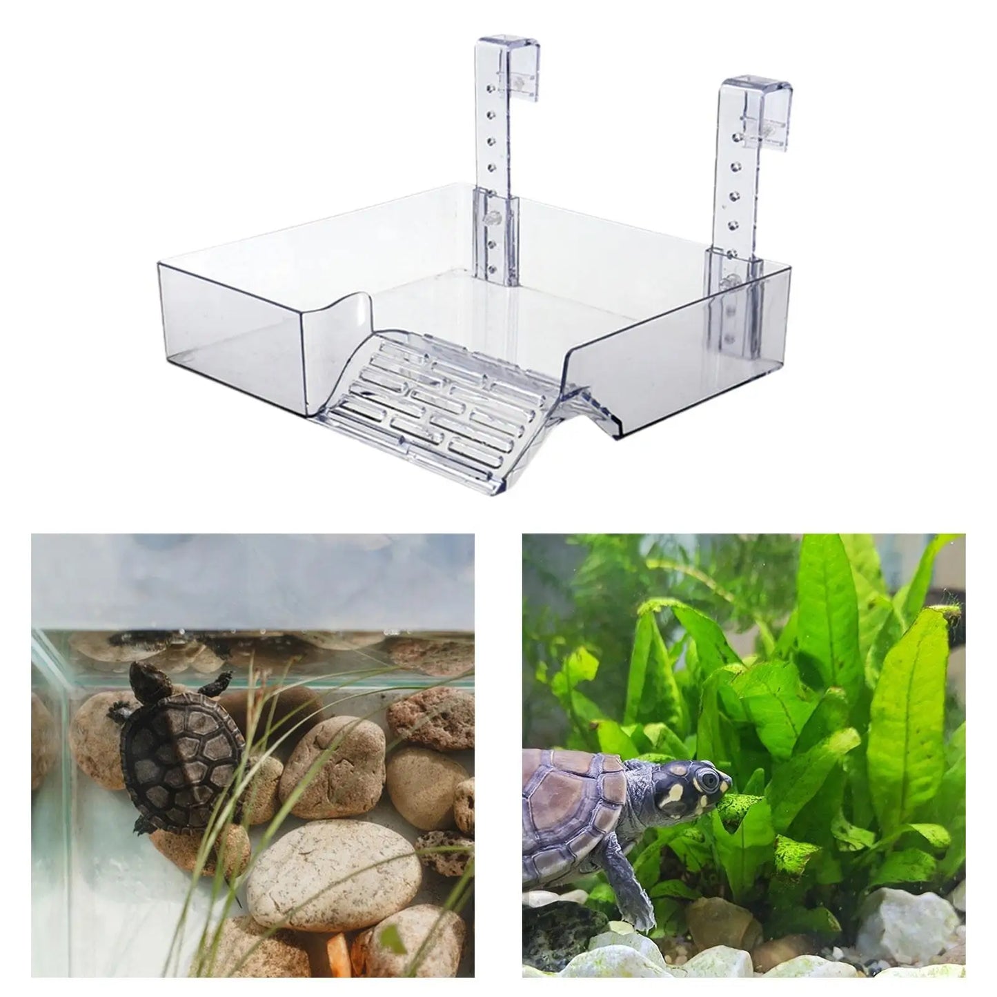 Transparent Hanging Turtle Basking Platform