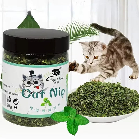 Organic Catnip Powder