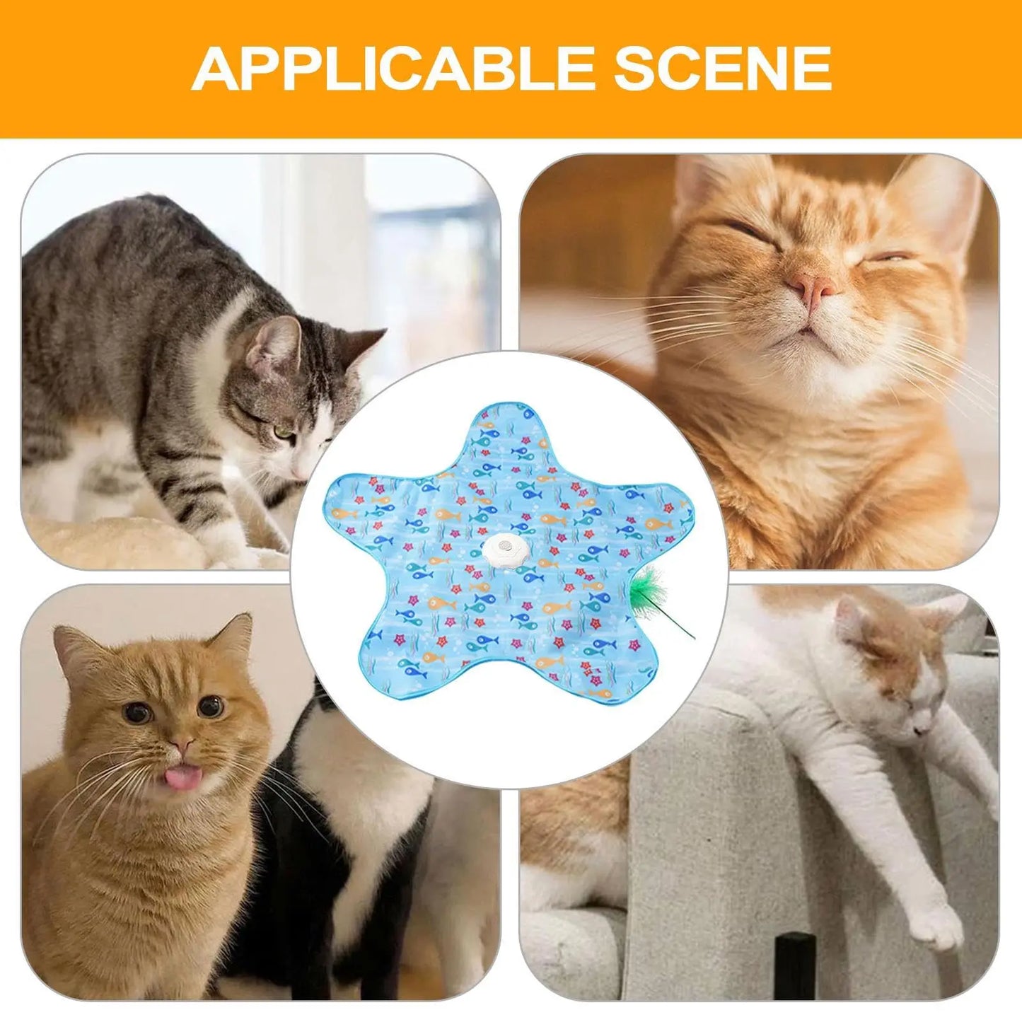 Interactive Hide & Seek Cat Toy with Moving Feather
