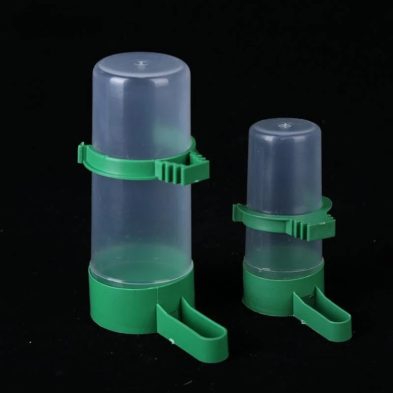 Automatic Bird Feeder & Water Dispenser