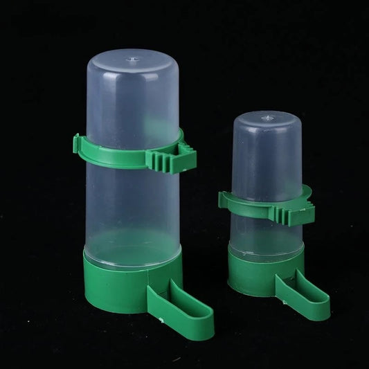 Automatic Bird Feeder & Water Dispenser