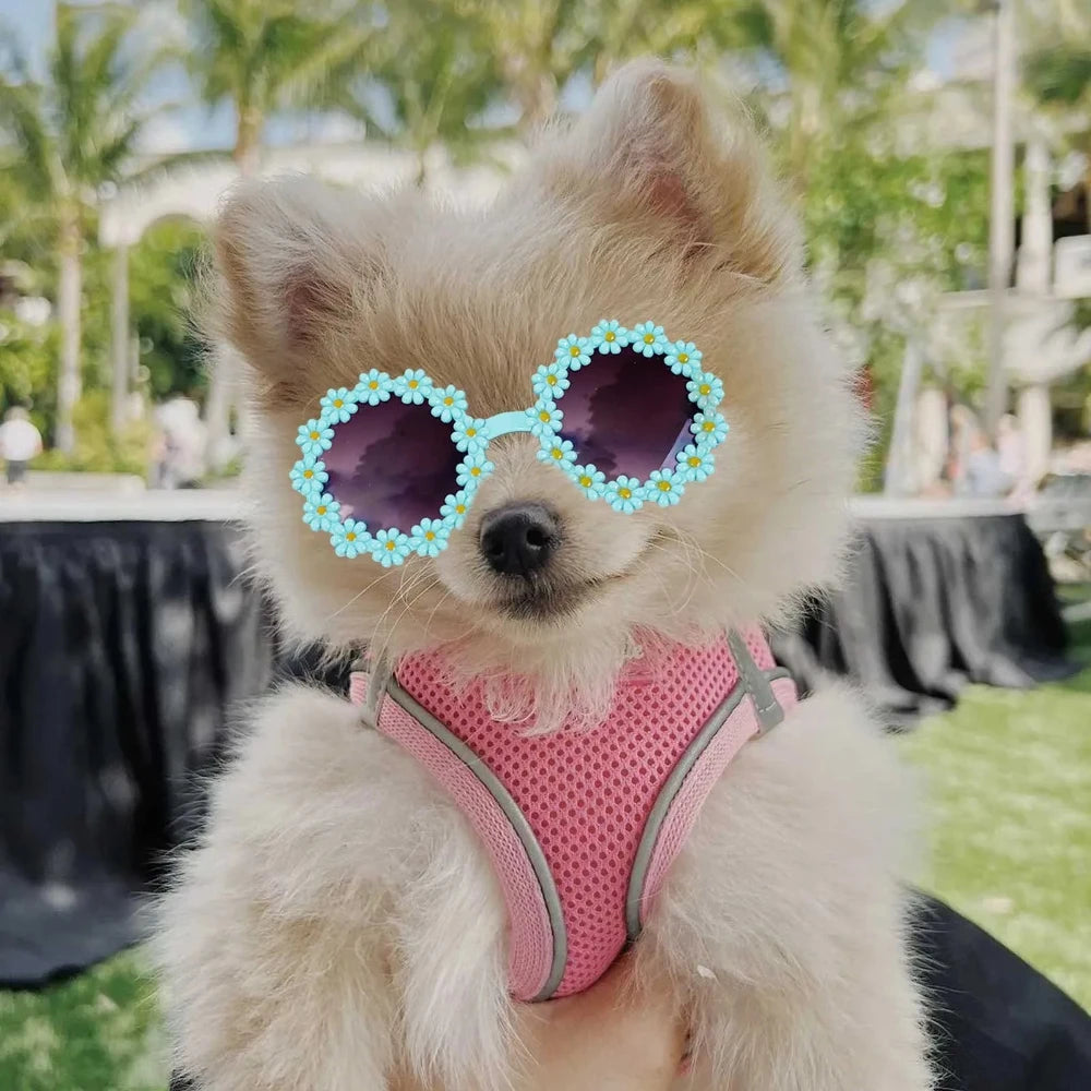 Pet Flower Sunglasses for Cats & Small Dogs