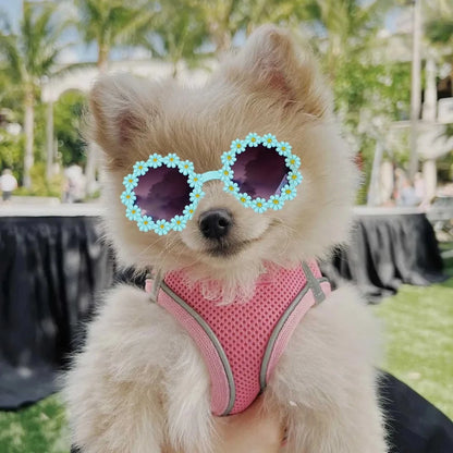 Pet Flower Sunglasses for Cats & Small Dogs