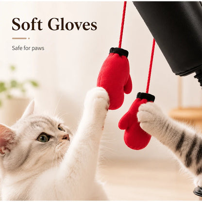 Interactive Cat Boxing Toy
