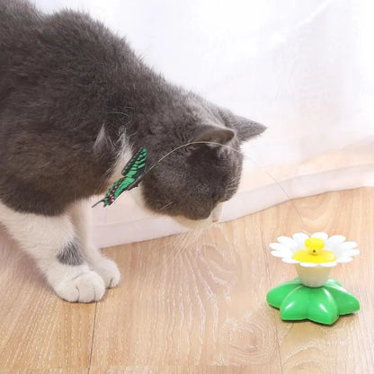 Interactive Rotating Butterfly Cat Toy