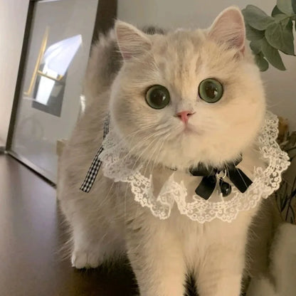 Silk Wedding Style Cat & Dog Collar with Bow Tie