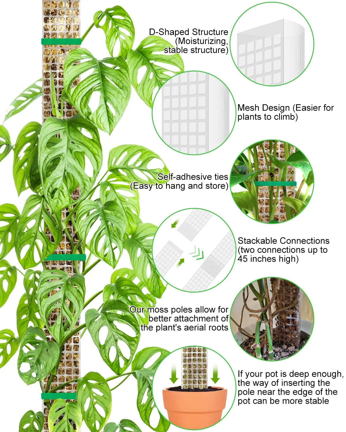 Transparent Plant Moss Pole Support