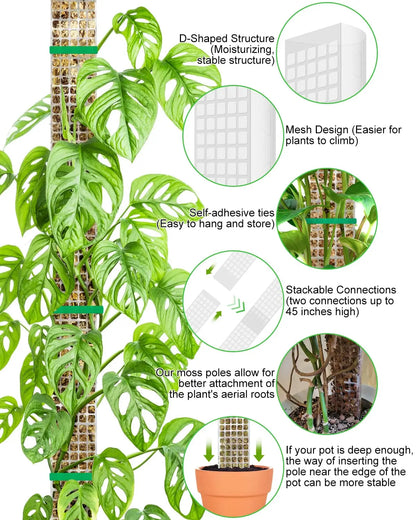 Transparent Plant Moss Pole Support