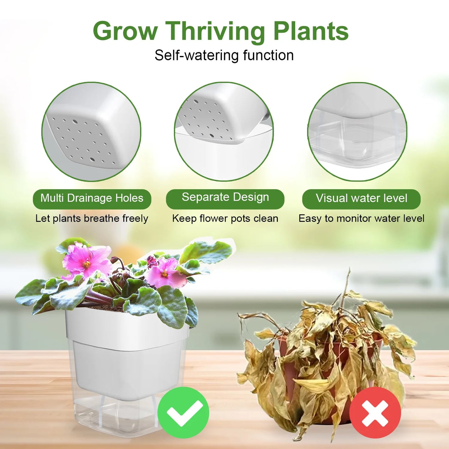 Self-Watering Plant Pot