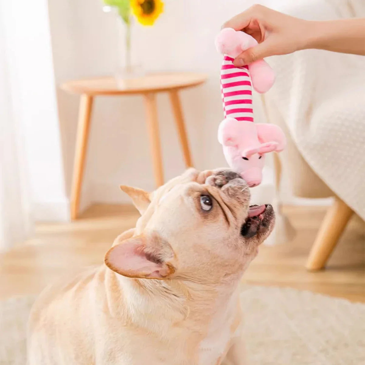 Plush Squeaky Dog Toy – Duck, Pig & Elephant
