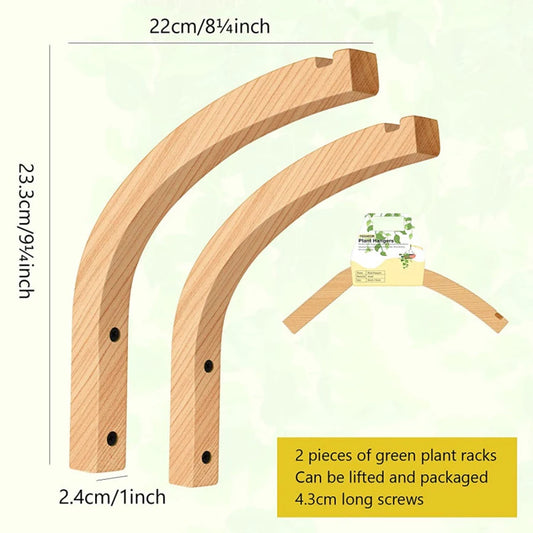 Natural Wooden Wall Plant Hanger