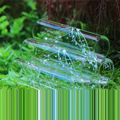 Glass Aquarium Shrimp Feeding Dish & Feeding Tube Set