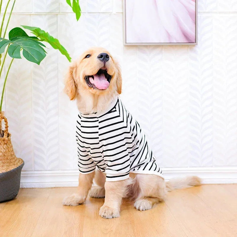 Bigeyedog Summer Cotton Dog T-Shirt