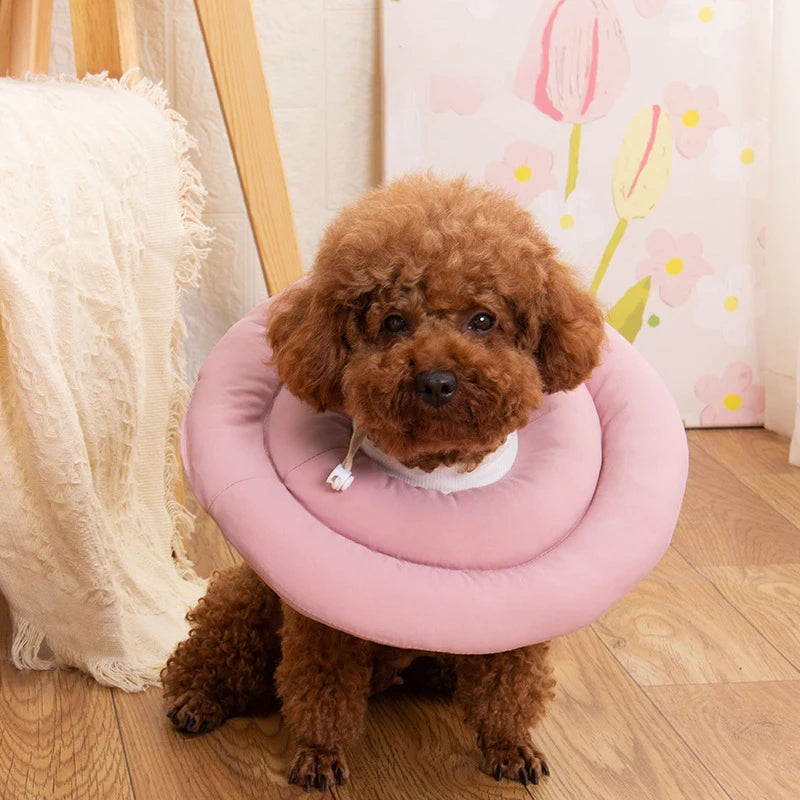 Adjustable Recovery Donut Collar for Dogs