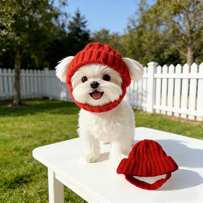 Winter Knitted Dog Hat for Small Dogs