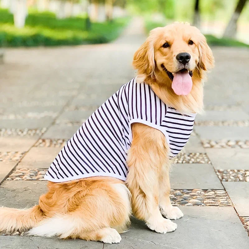Bigeyedog Summer Cotton Dog T-Shirt