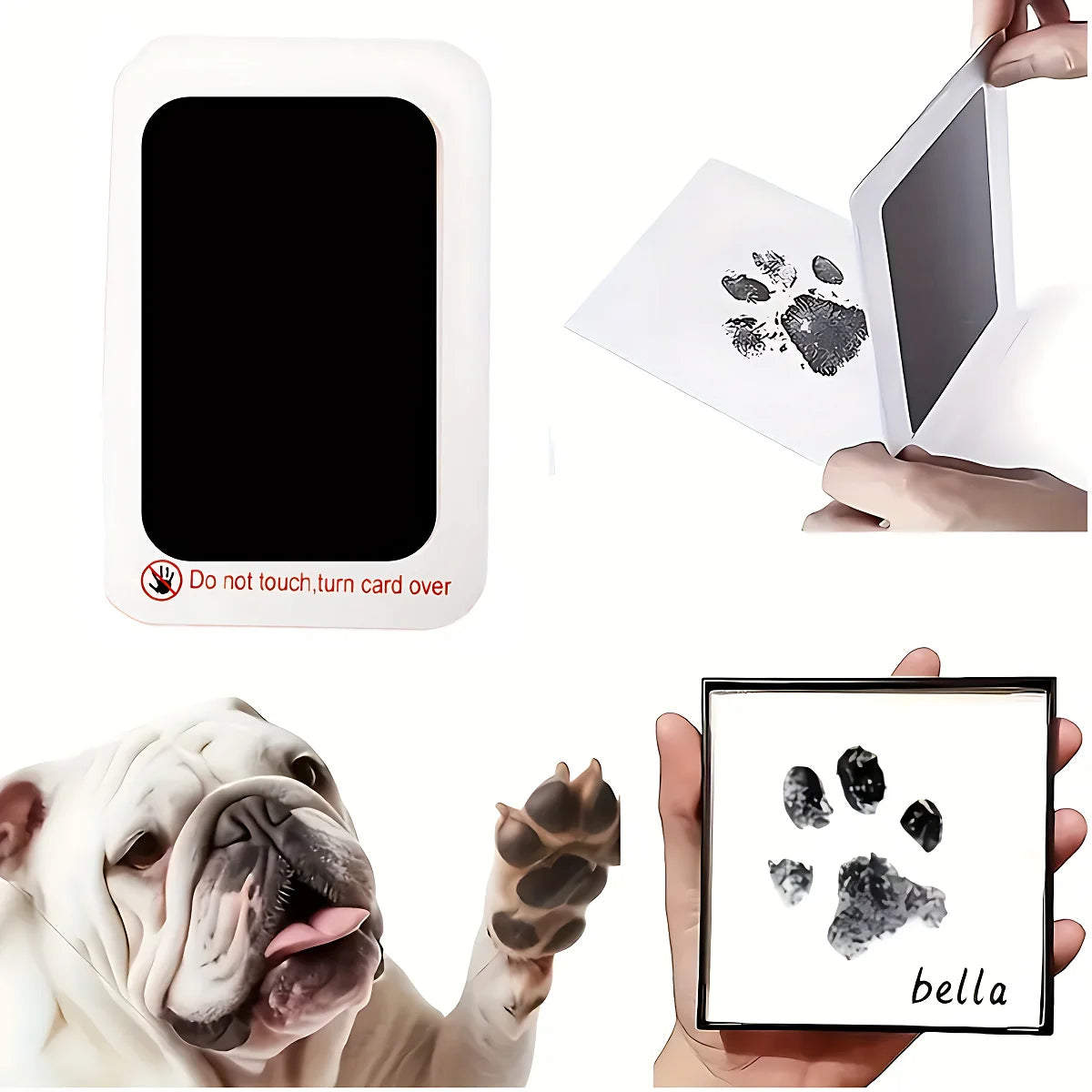 Clean Touch Pet Paw Print Kit