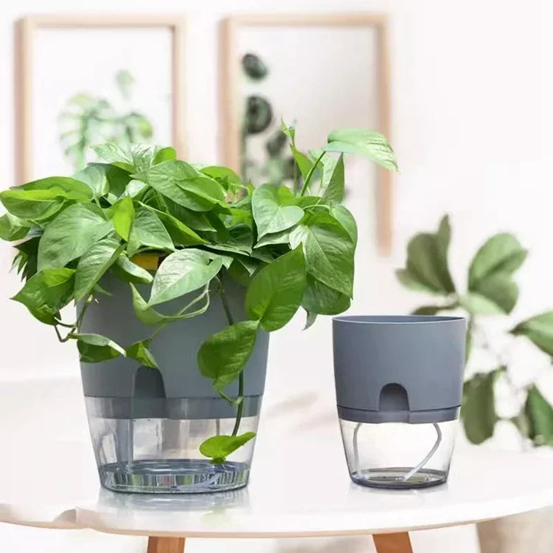 Self-Watering Hydroponic Plant Pot