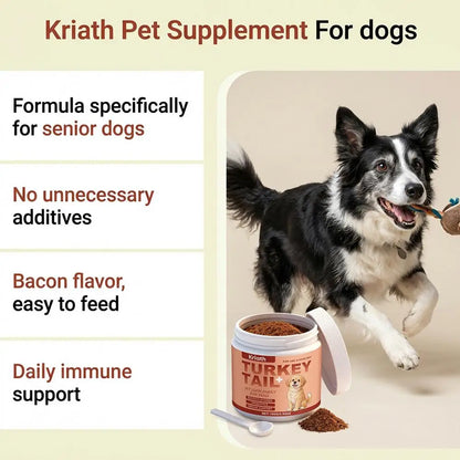 Dog Immune Support Supplement Powder