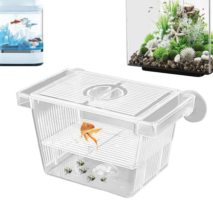 Acrylic Fish Breeding & Isolation Box for Aquariums