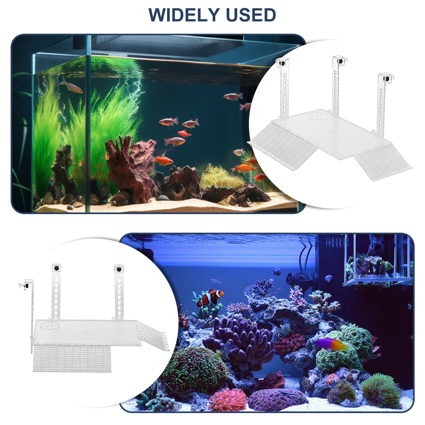 Adjustable Acrylic Turtle Basking Platform