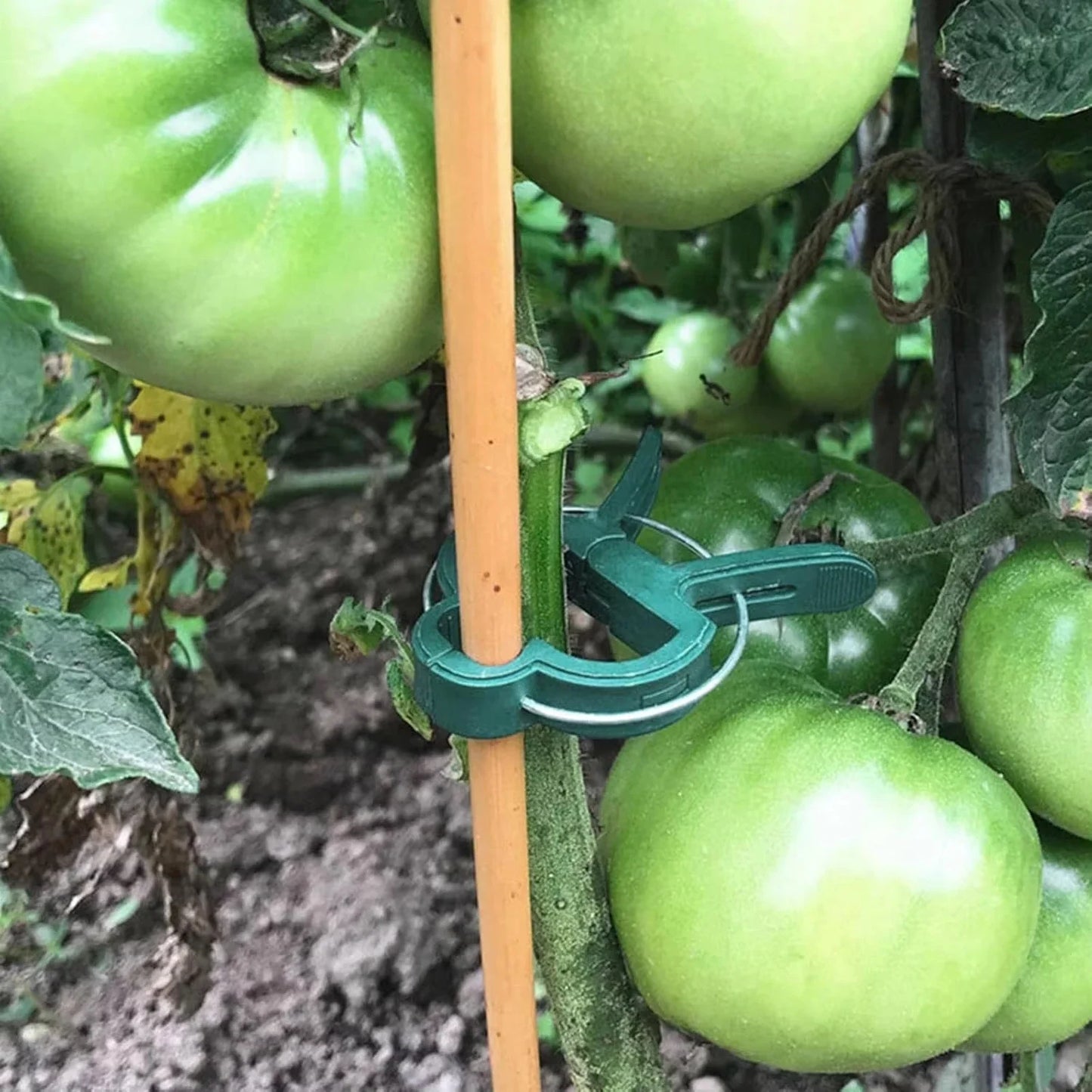Reusable Garden Plant Support Clips